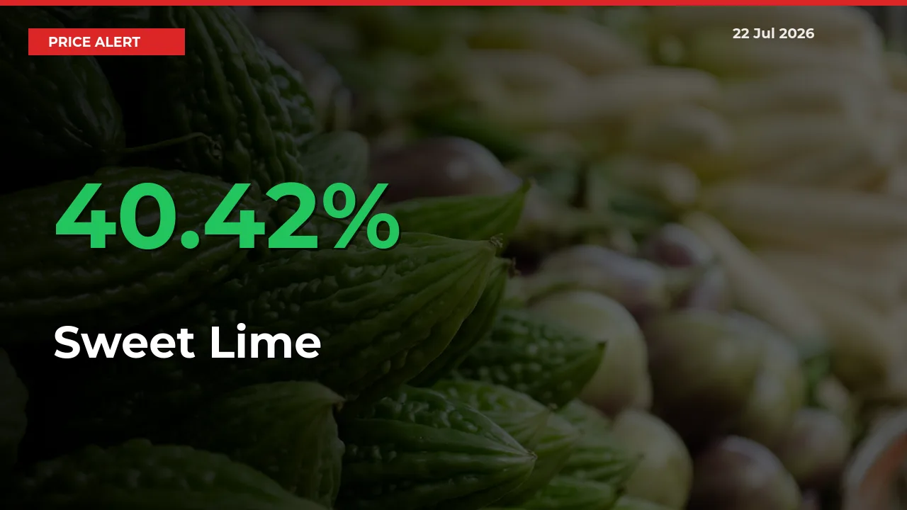 Farmers Cheer as Sweet Lime Prices Surge 40.42% in Local Mandis