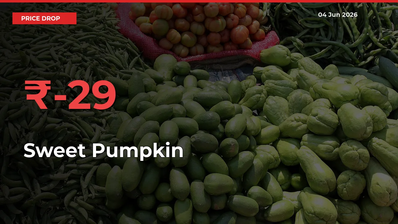 Sharp Fall! Sweet Pumpkin Prices Plunge 28.53% in a Day at Key Mandis