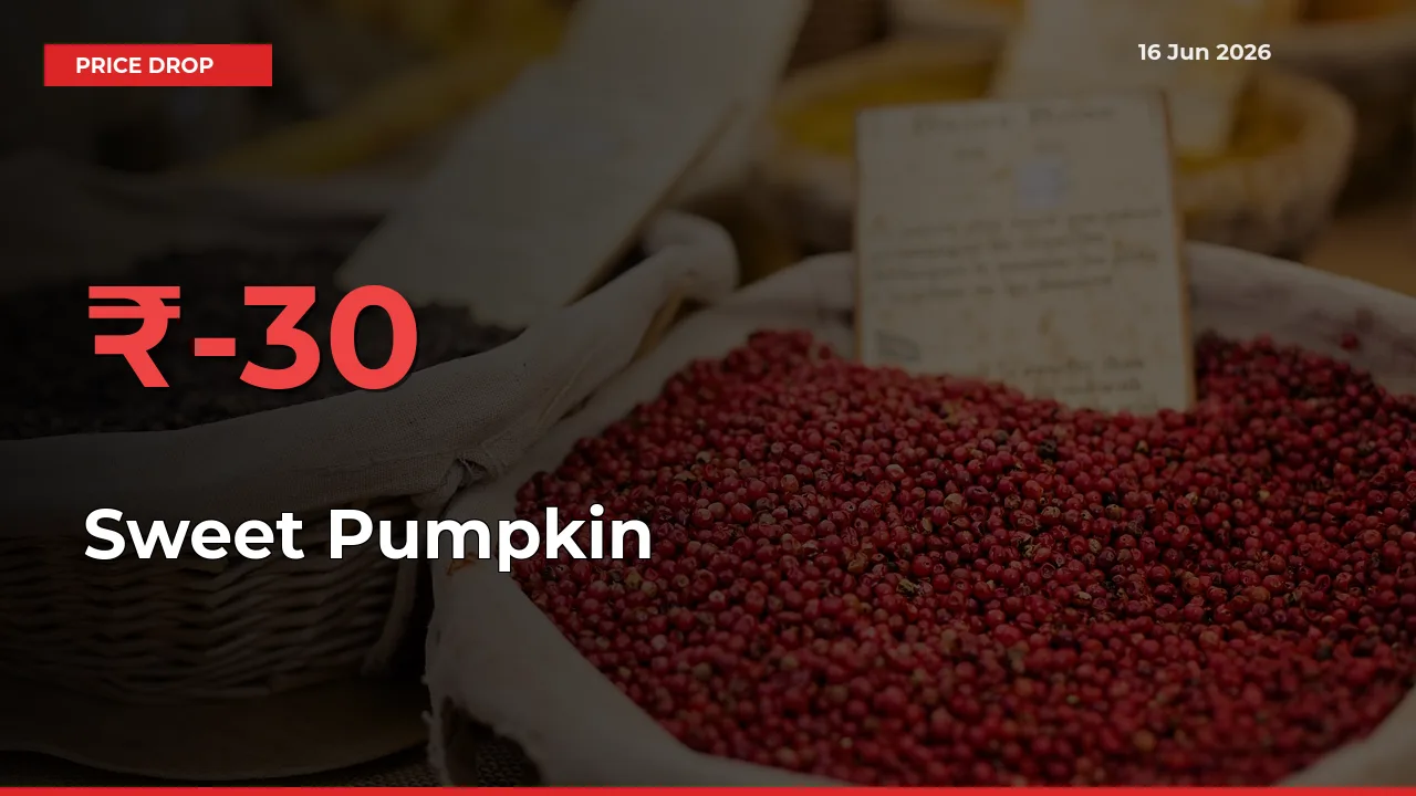 Sweet Pumpkin Falls 30.31% at Mandis