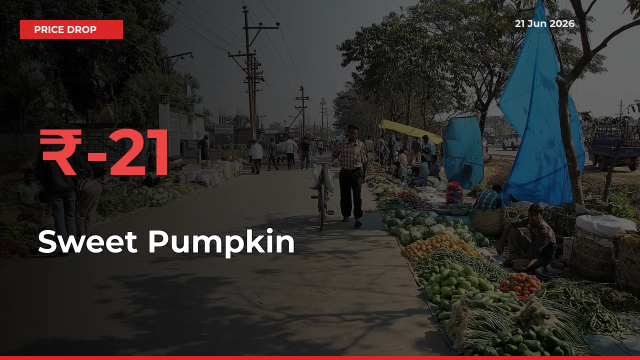 Sharp Fall! Sweet Pumpkin Prices Plunge 21.05% in a Day at Key Mandis