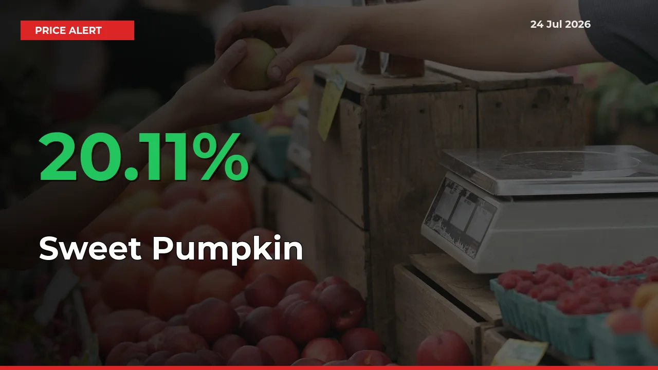 20.11% Spike in Sweet Pumpkin Prices – Mandi Sees Sudden Rally