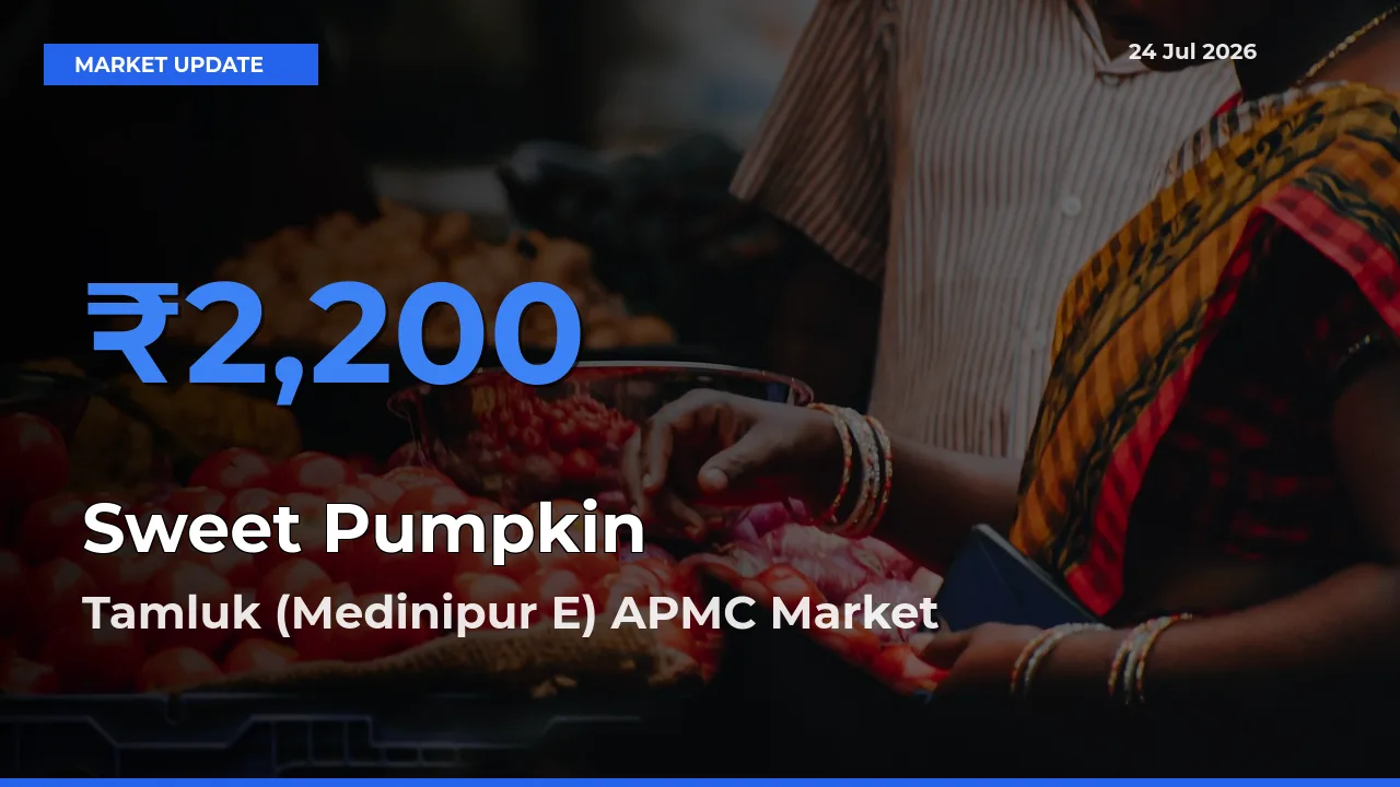 Tamluk (Medinipur E) APMC Tops Sweet Pumpkin Mandi Rates Today