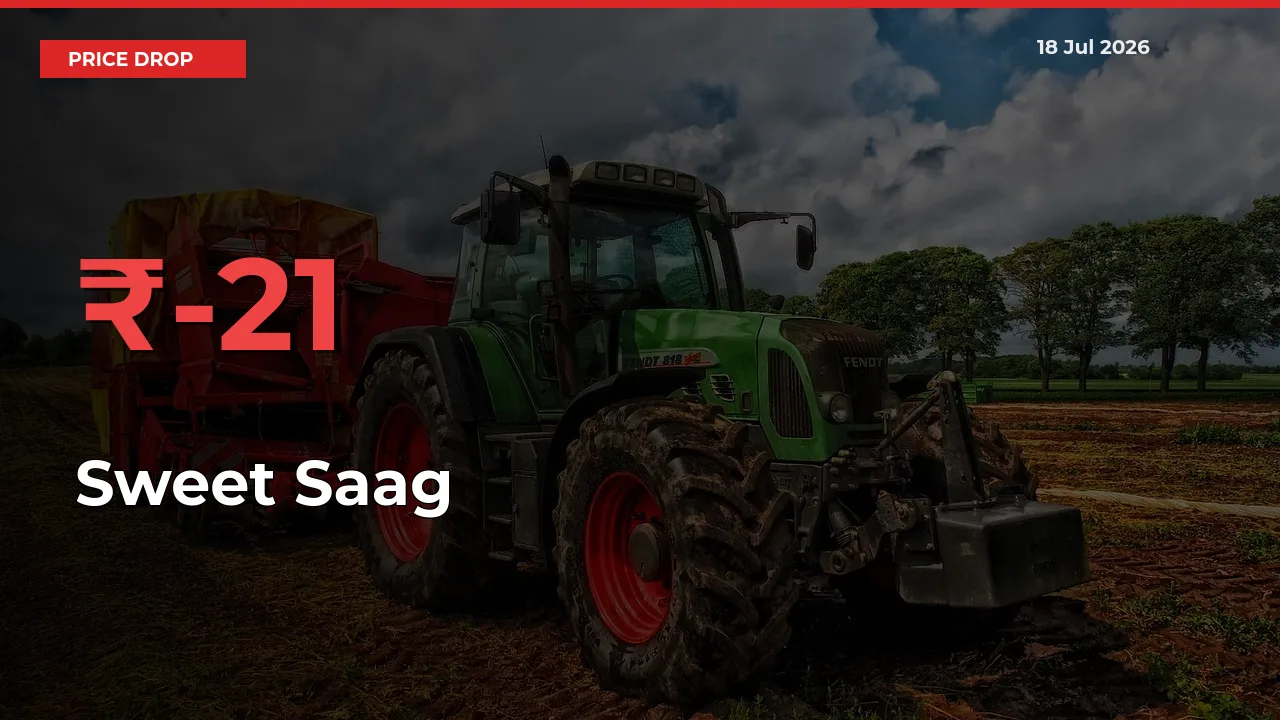 Sweet Saag Falls 21.41% at Mandis