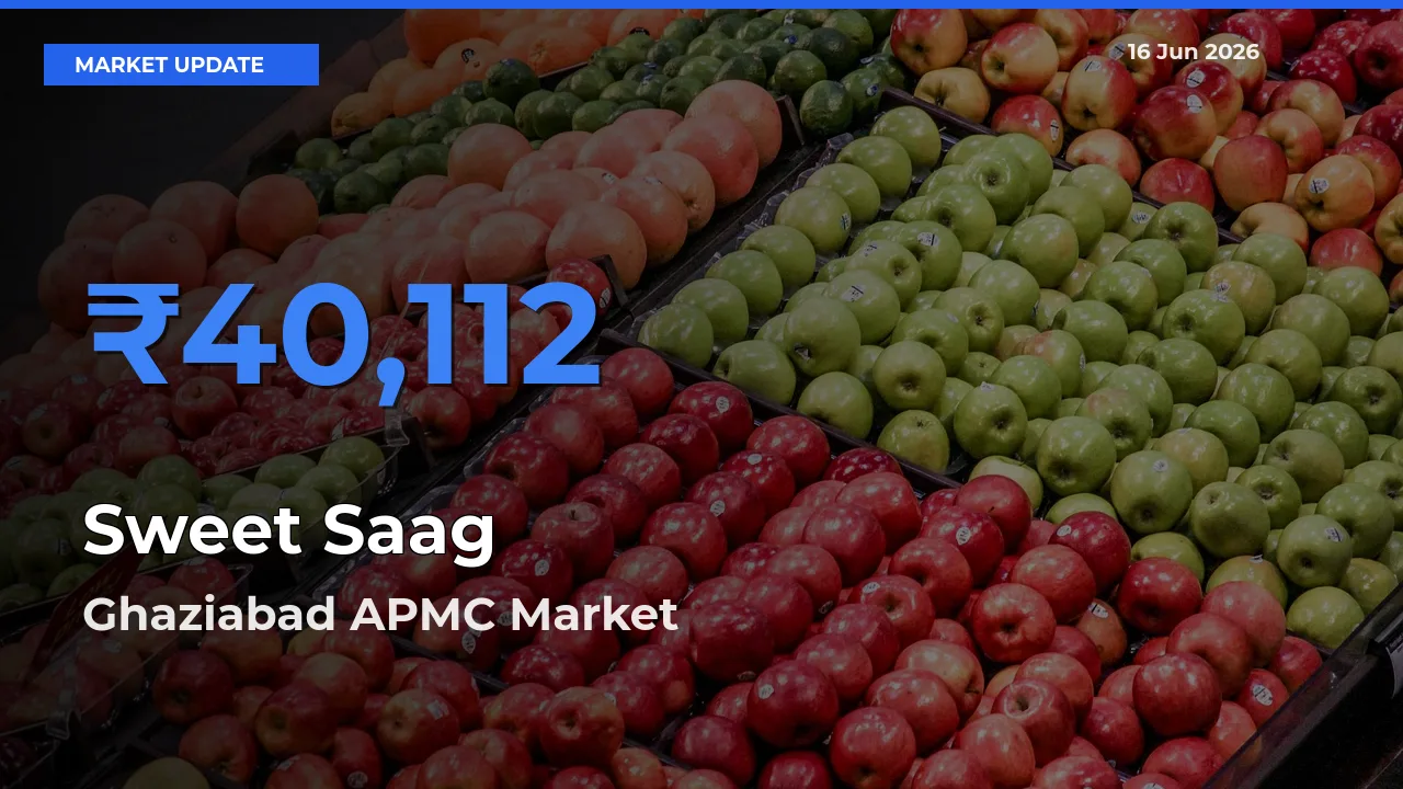 Top Performer! Ghaziabad APMC Offers Best Sweet Saag Price Today
