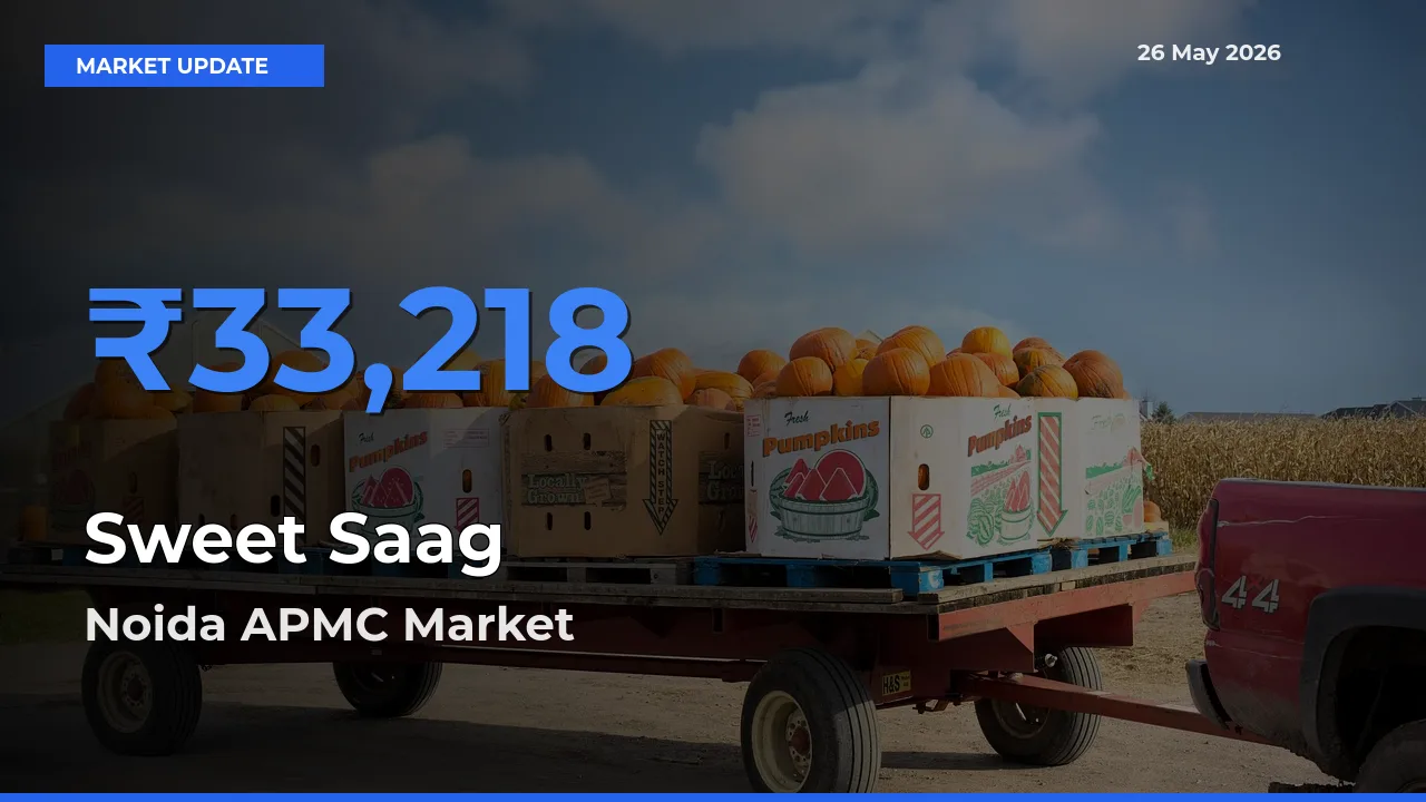 Noida APMC Offers ₹33,218 – Highest Sweet Saag Rate Today