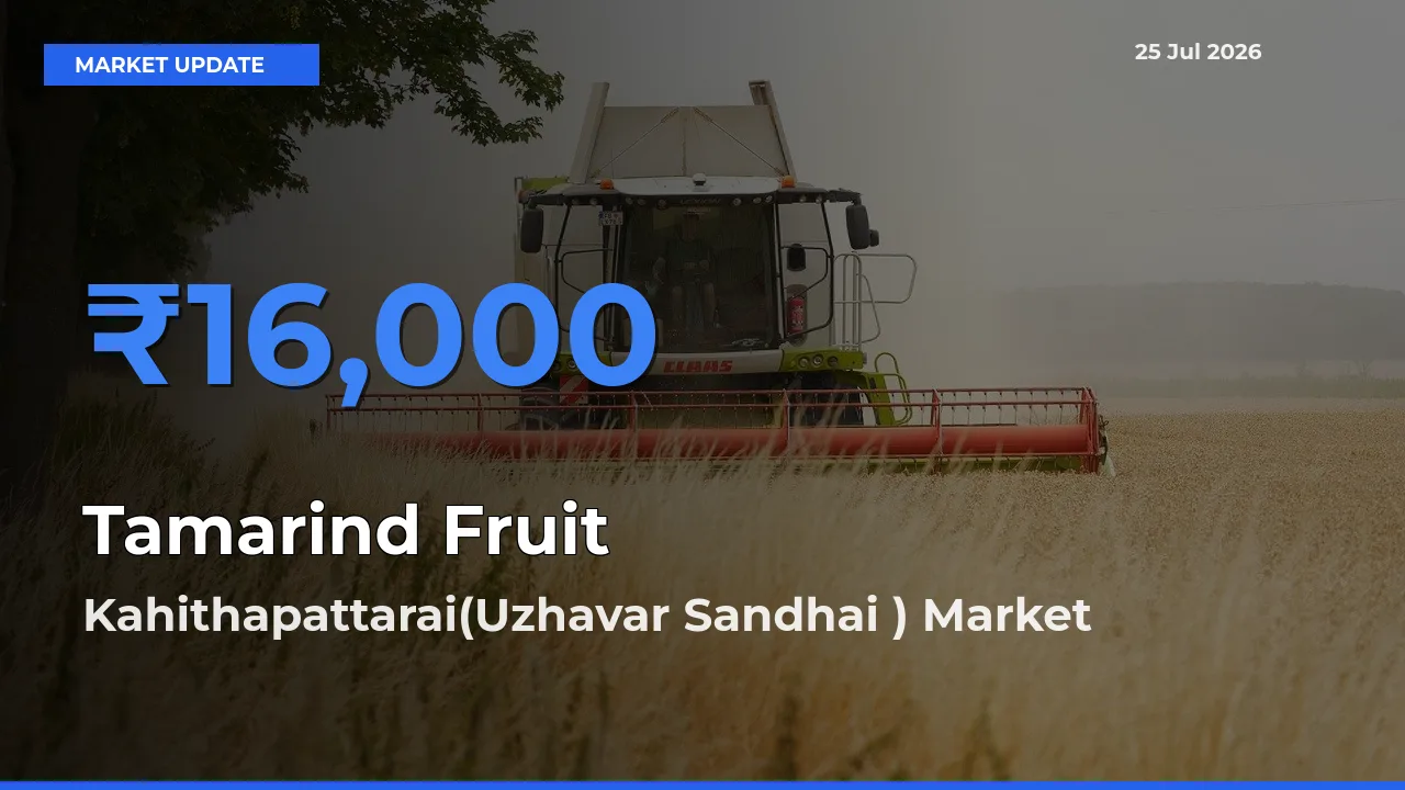 Kahithapattarai(Uzhavar Sandhai ) Tops Tamarind Fruit Mandi Rates Today