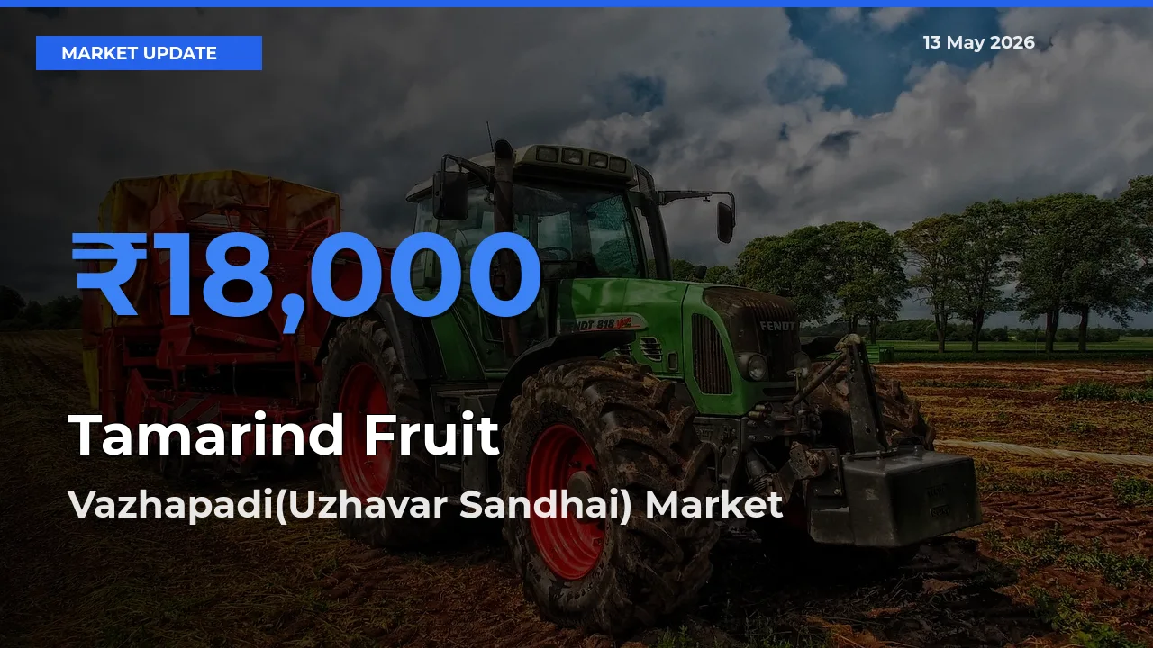 Vazhapadi(Uzhavar Sandhai) Leads as Top Mandi for Tamarind Fruit Prices