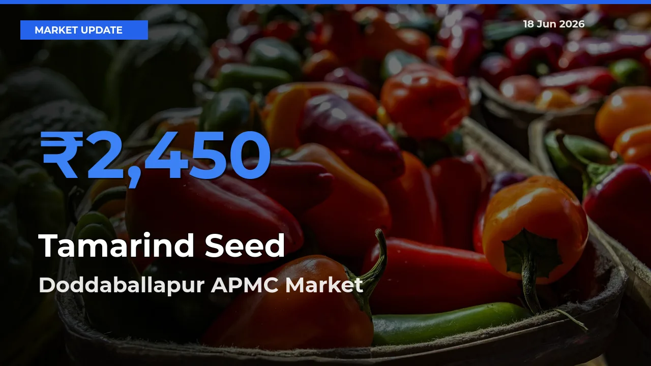 Market Watch: Doddaballapur APMC Becomes Top Mandi for Tamarind Seed