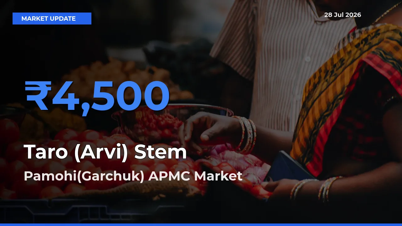 Pamohi(Garchuk) APMC, Kamrup, Assam Emerges as Top Mandi for Taro (Arvi) Stem Prices Today
