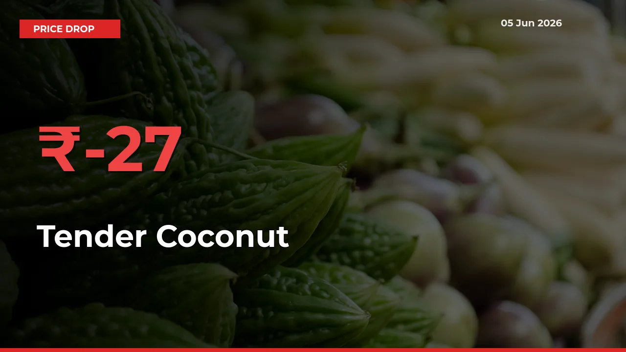 27.26% Drop in Tender Coconut Prices – Mandi Sees Sudden Fall