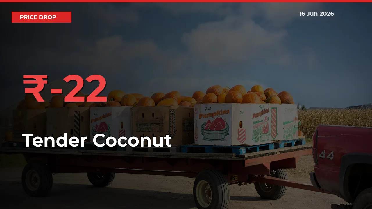 Farmers Alert as Tender Coconut Prices Slide 22.23% in Local Mandis