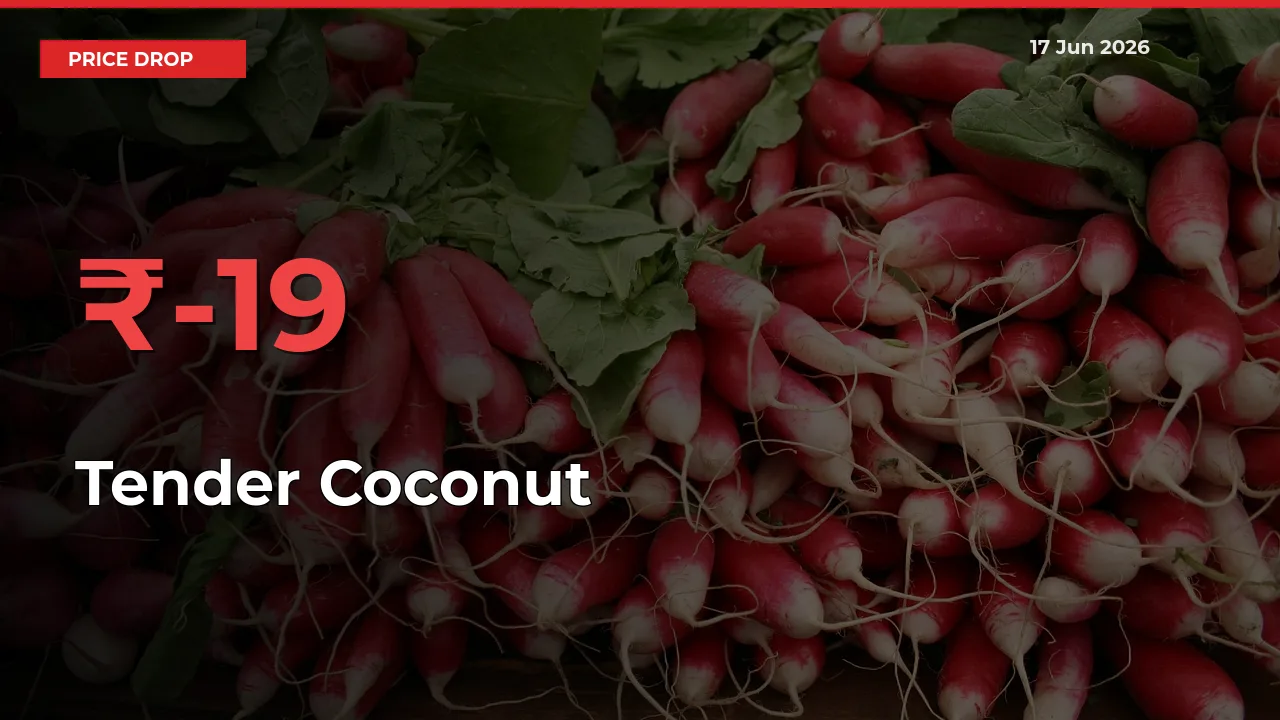 Sudden Shock! Tender Coconut Drops 18.57% in 24 Hours at Top Mandis