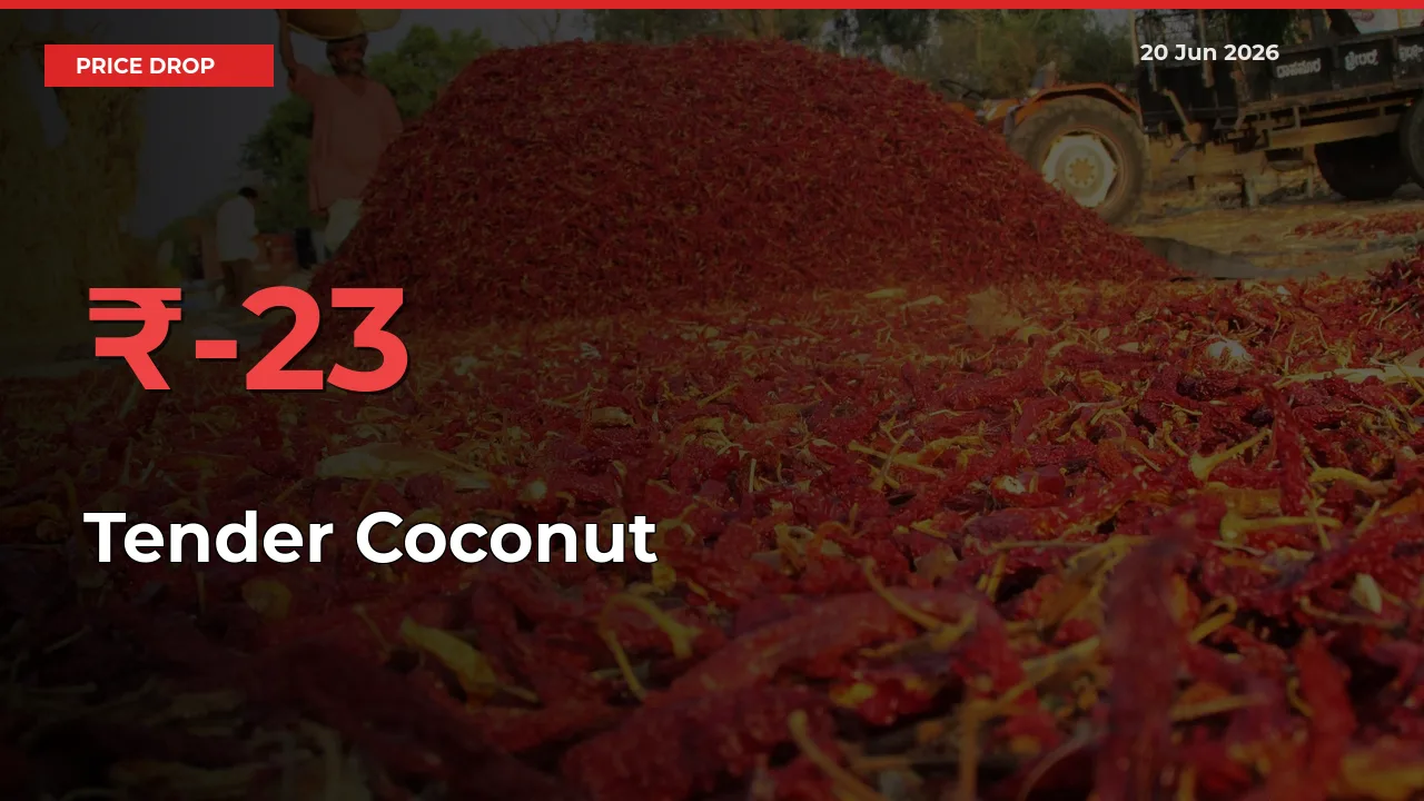 This Mandi Records 23.35% Fall in Tender Coconut Prices