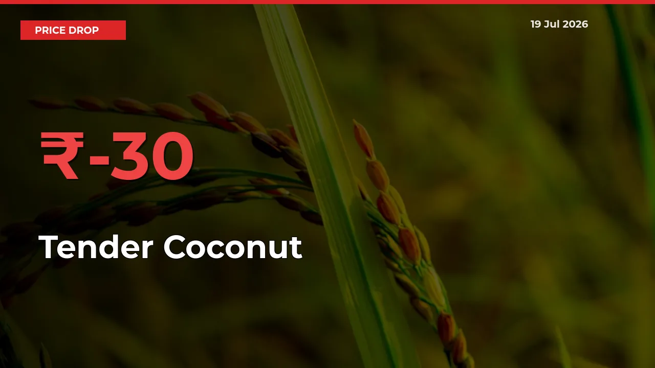 Why Tender Coconut Prices Fell 29.89% in a Day at Mandis