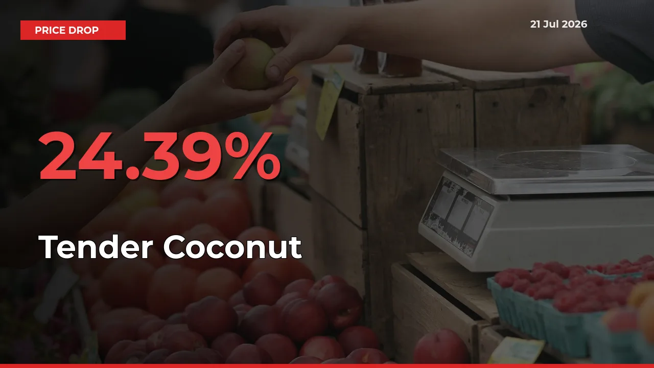 Tender Coconut Mandi Rate Today: Prices Fall 24.39% at Market