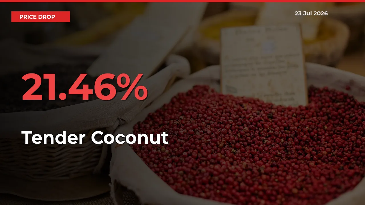 Sharp Fall! Tender Coconut Prices Plunge 21.46% in a Day at Key Mandis