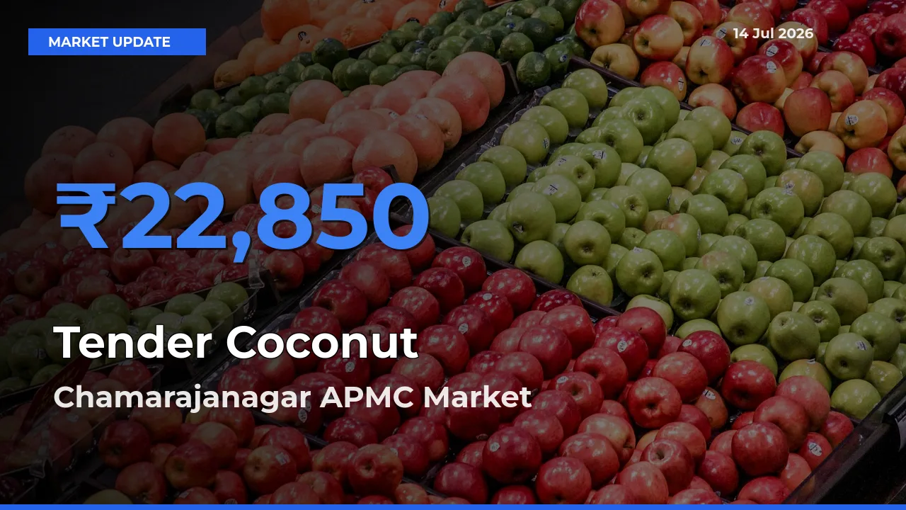 Farmers Prefer Chamarajanagar APMC as Tender Coconut Hits Highest Rate