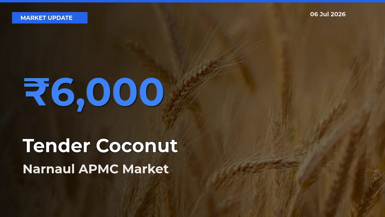 Narnaul APMC Leads as Top Mandi for Tender Coconut Prices