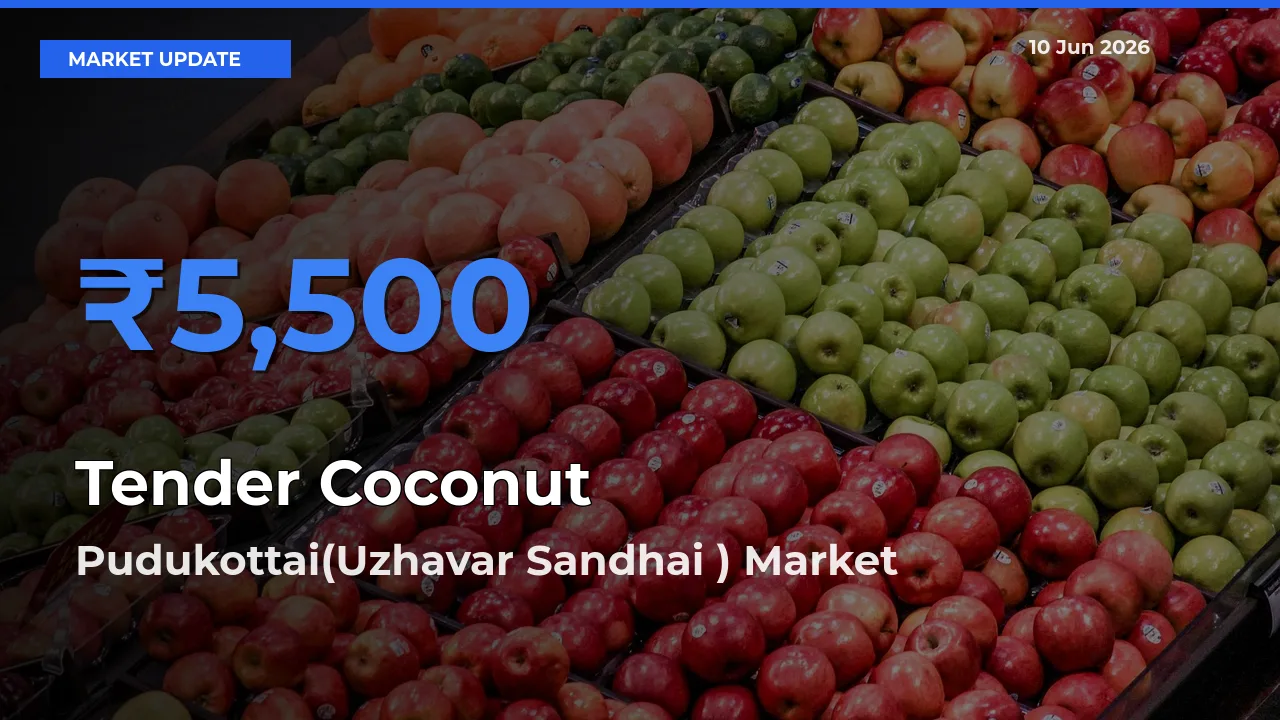 Pudukottai(Uzhavar Sandhai ) Tops Tender Coconut Rates – June 10 Market Update