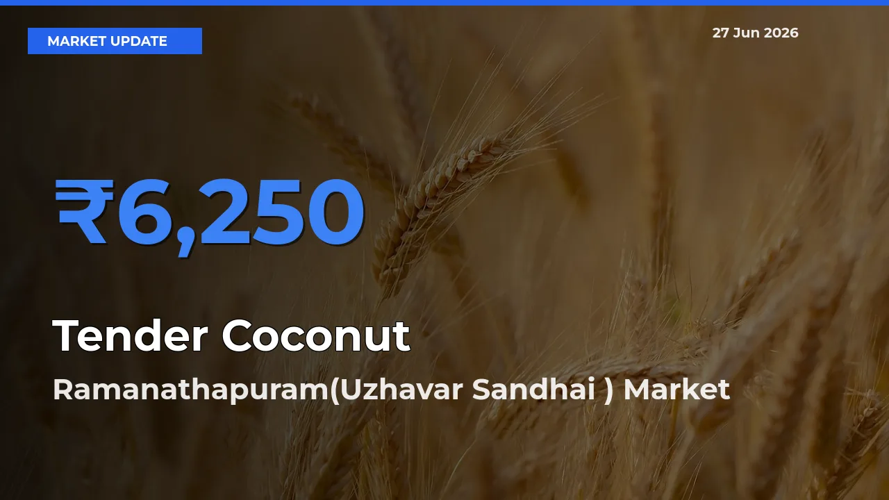 Ramanathapuram(Uzhavar Sandhai ) Offers ₹6,250 – Highest Tender Coconut Rate Today