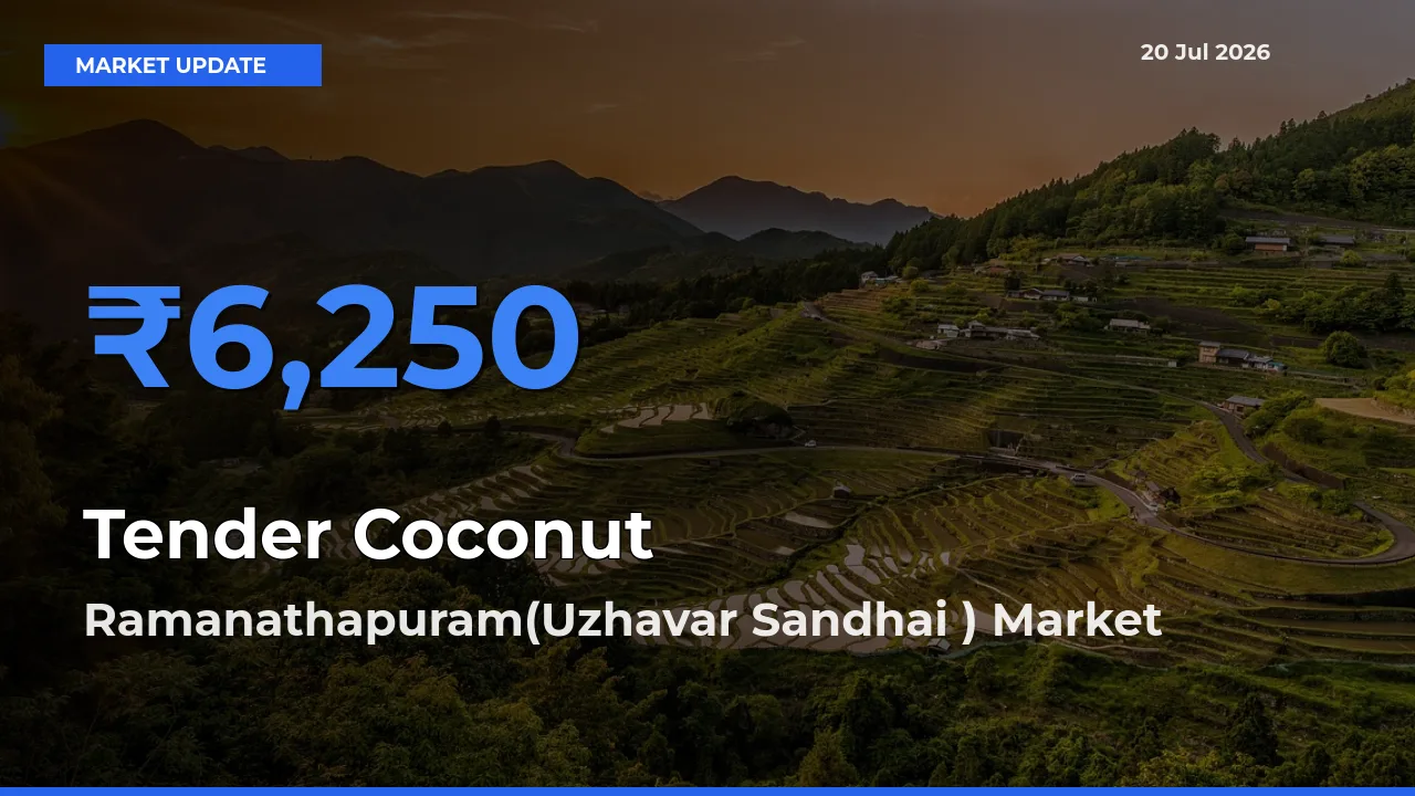 Ramanathapuram(Uzhavar Sandhai ) Emerges as Top Mandi for Tender Coconut Prices Today