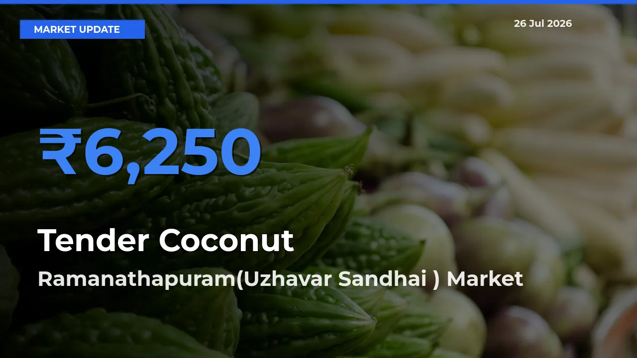 Ramanathapuram(Uzhavar Sandhai ) Leads as Top Mandi for Tender Coconut Prices