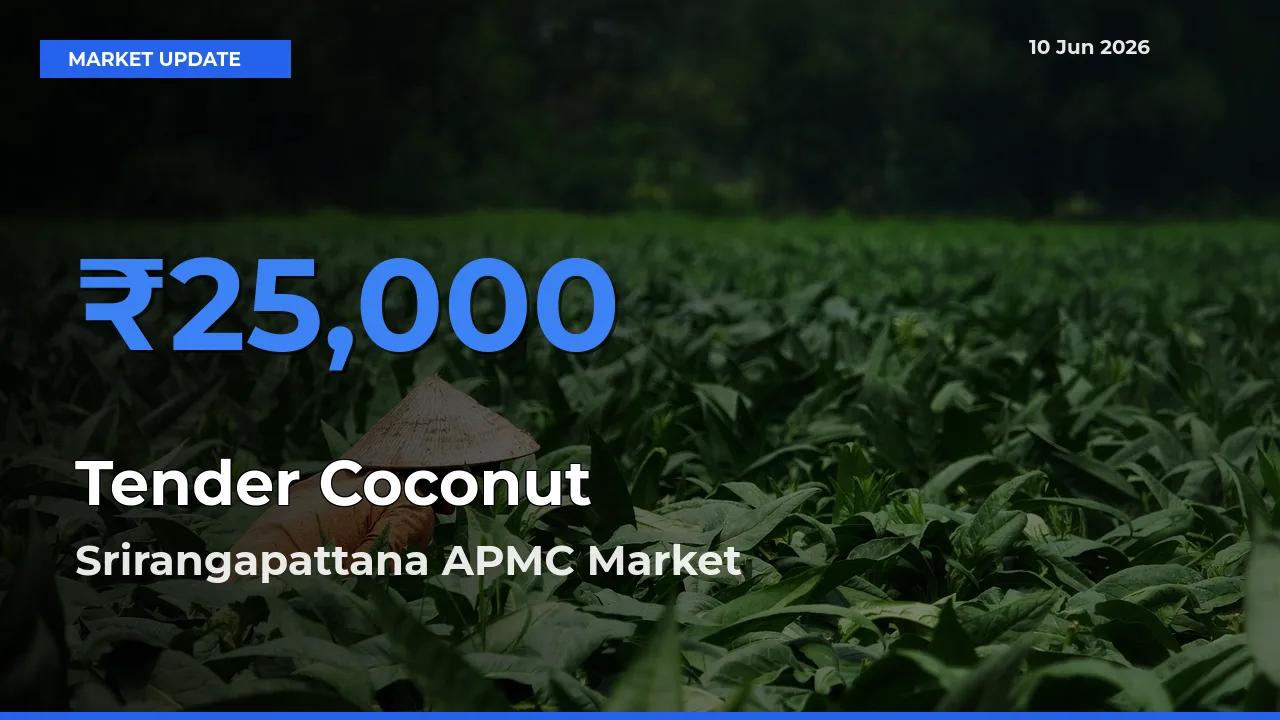 Srirangapattana APMC Tops Tender Coconut Mandi Rates Today