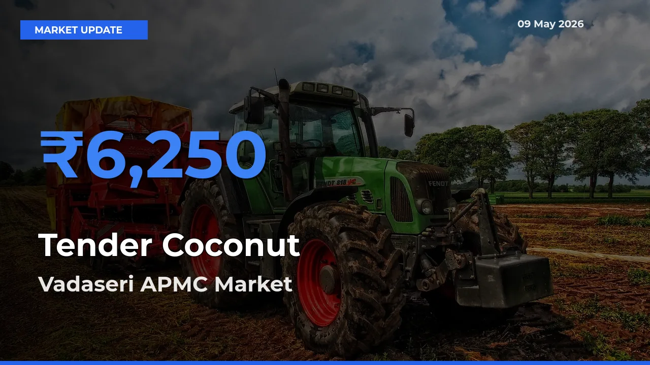 Vadaseri APMC Emerges as Top Mandi for Tender Coconut Prices Today