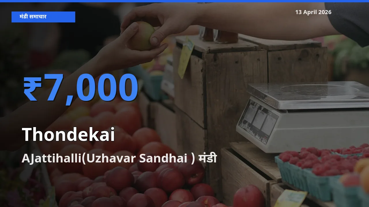 बाज़ार संकेत: AJattihalli(Uzhavar Sandhai ) बना कुंदरू के लिए आज की टॉप मंडी