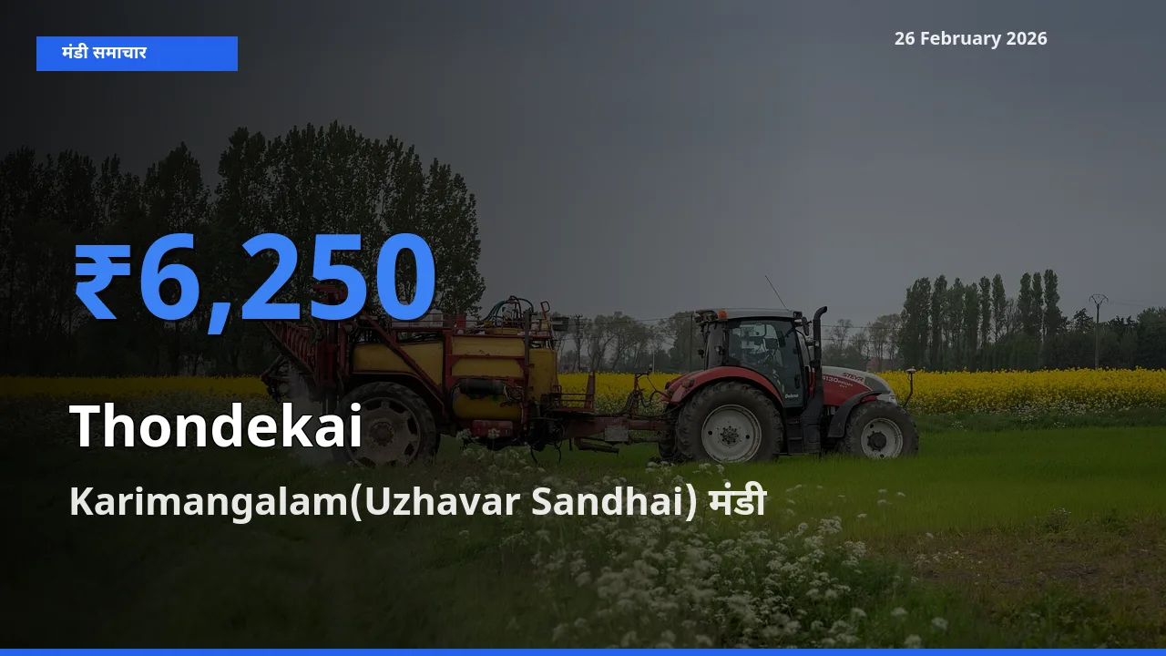 Karimangalam(Uzhavar Sandhai) मंडी में Thondekai ₹6,250 पर पहुँचा – आज का सर्वोच्च भाव