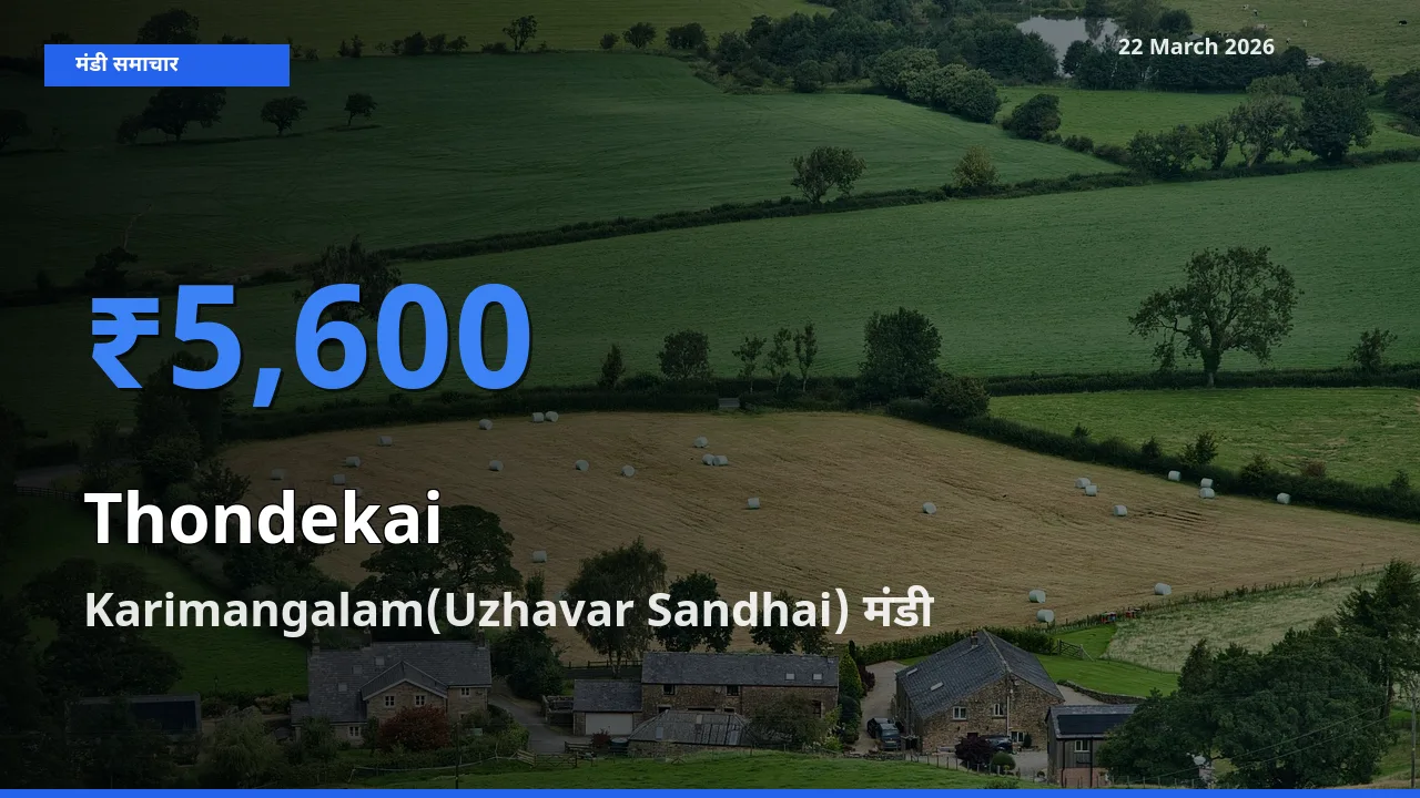 बाज़ार संकेत: Karimangalam(Uzhavar Sandhai) बना कुंदरू के लिए आज की टॉप मंडी