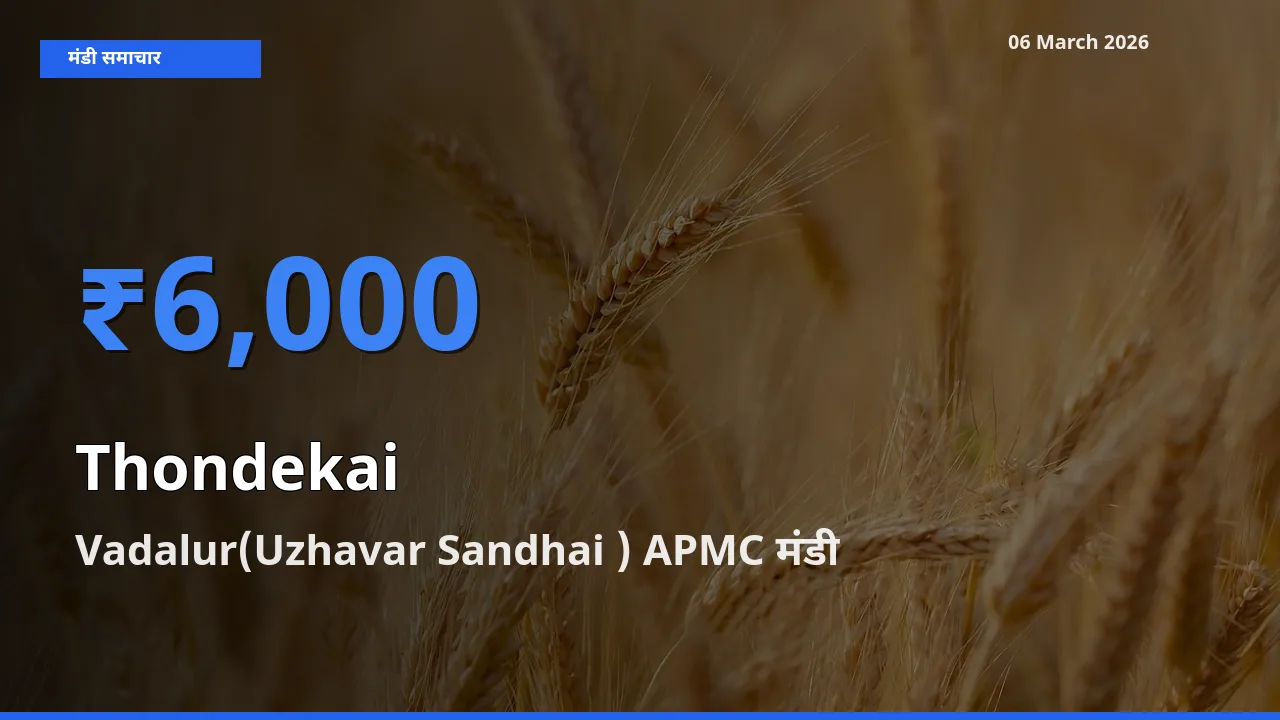 बाज़ार संकेत: Vadalur(Uzhavar Sandhai ) APMC बना कुंदरू के लिए आज की टॉप मंडी