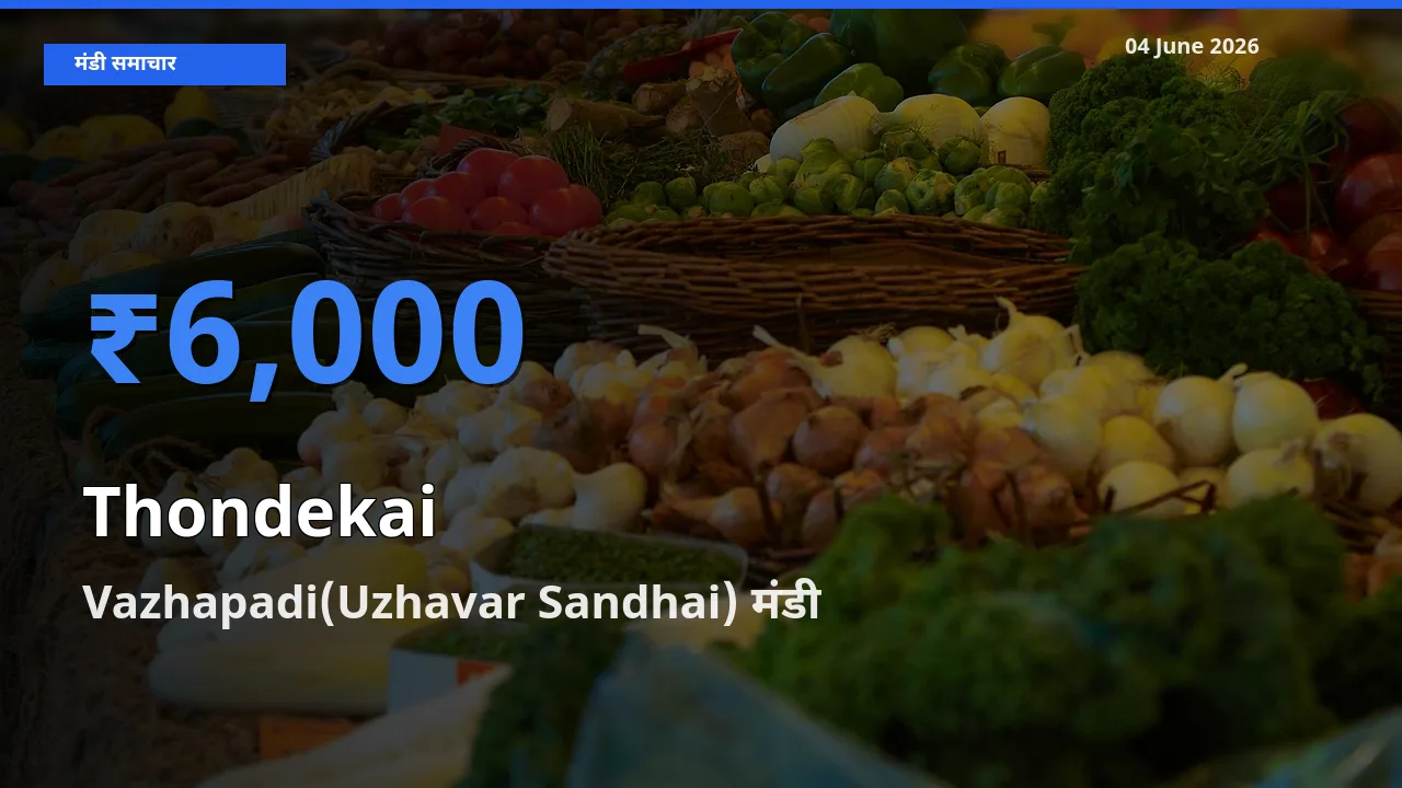 Vazhapadi(Uzhavar Sandhai) में कुंदरू का आज सबसे ऊँचा भाव
