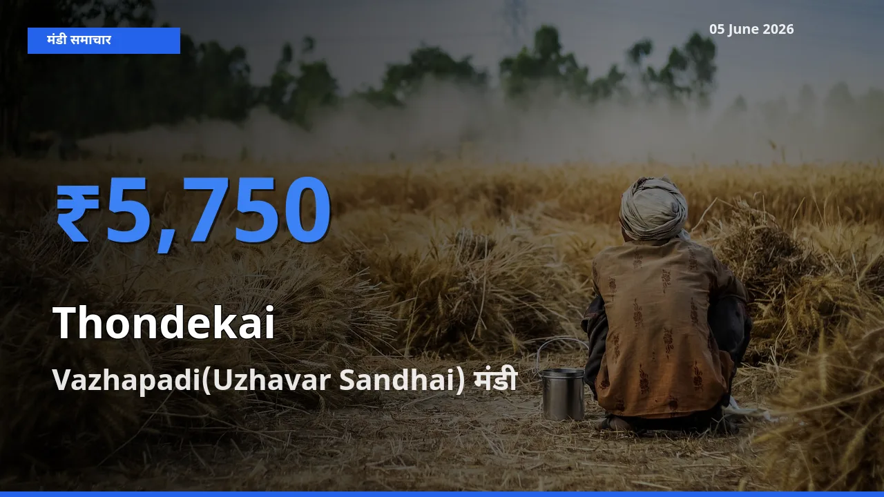 टॉप मंडी बना Vazhapadi(Uzhavar Sandhai)! कुंदरू के सबसे ऊँचे दाम यहीं दर्ज