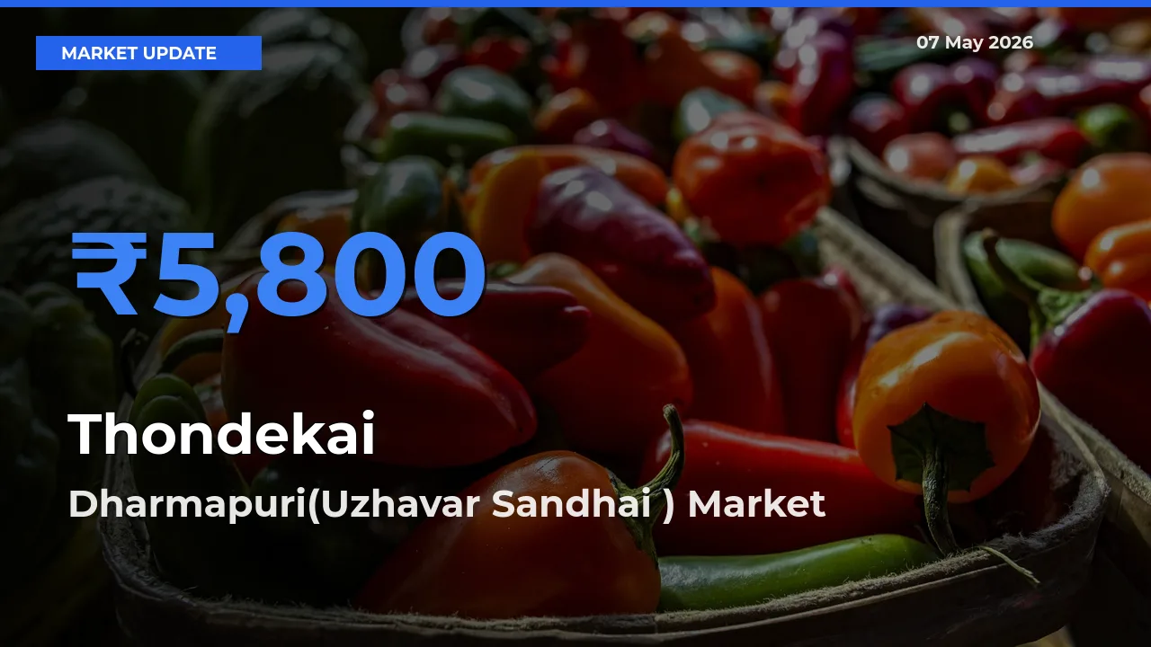 Dharmapuri(Uzhavar Sandhai ) Leads as Top Mandi for Thondekai Prices