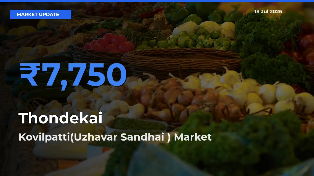 Kovilpatti(Uzhavar Sandhai ) Records Highest ₹7,750 Rate for Thondekai