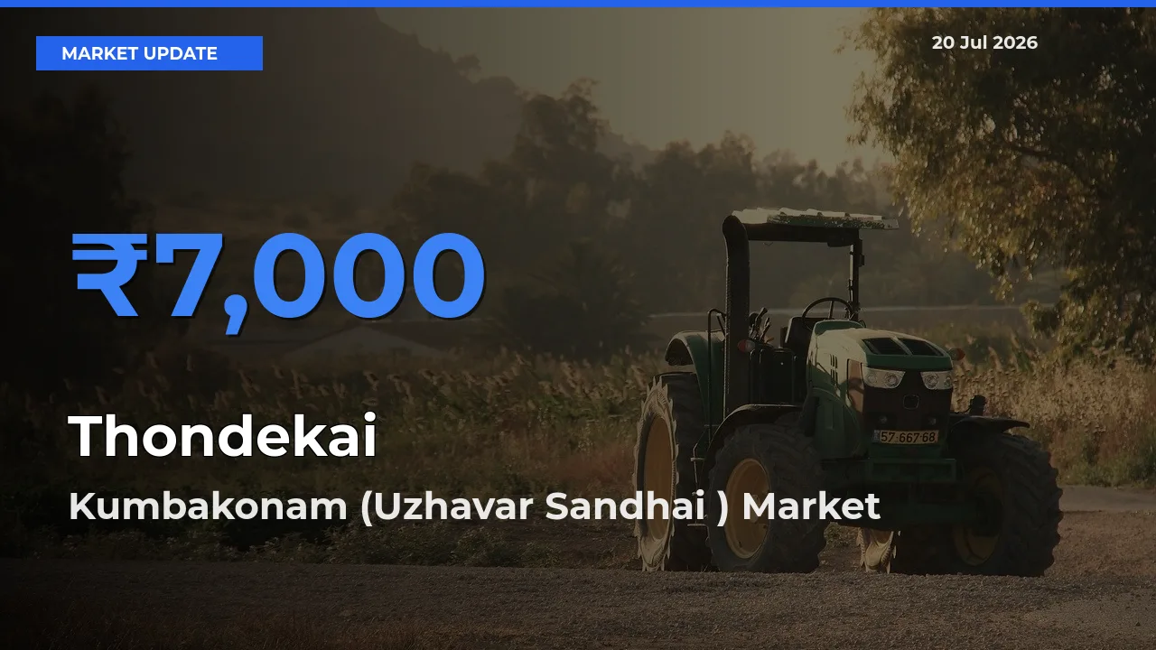 Thondekai Mandi Rate Today: Kumbakonam (Uzhavar Sandhai ) Tops the List