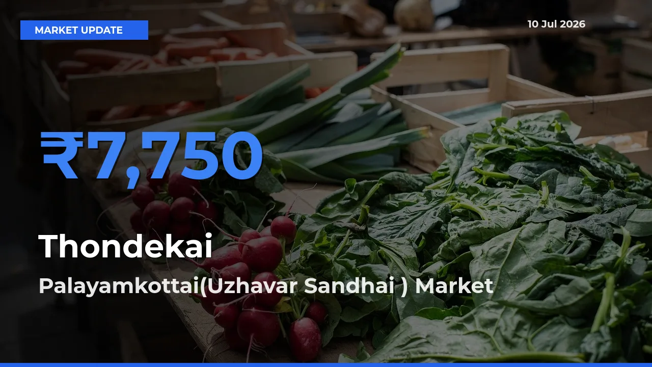 Palayamkottai(Uzhavar Sandhai ) Tops Thondekai Mandi Rates Today