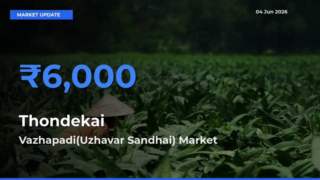 Farmers Prefer Vazhapadi(Uzhavar Sandhai) as Thondekai Hits Highest Rate