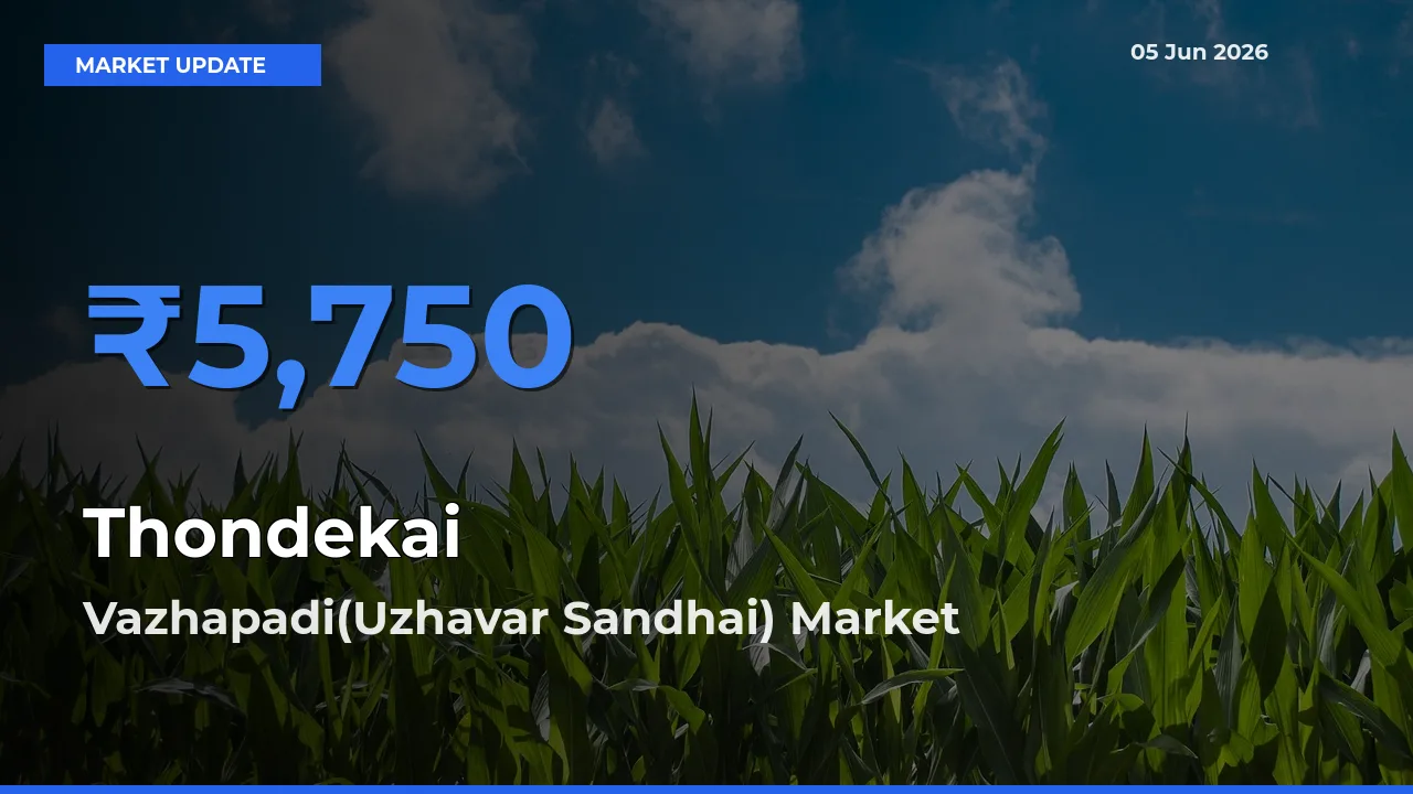 Vazhapadi(Uzhavar Sandhai) Tops Thondekai Mandi Rates Today