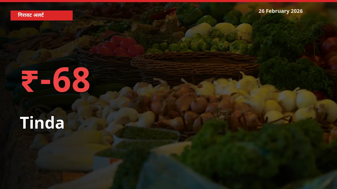 आज का मंडी भाव: Tinda के दाम मंडी में 67.7% नीचे