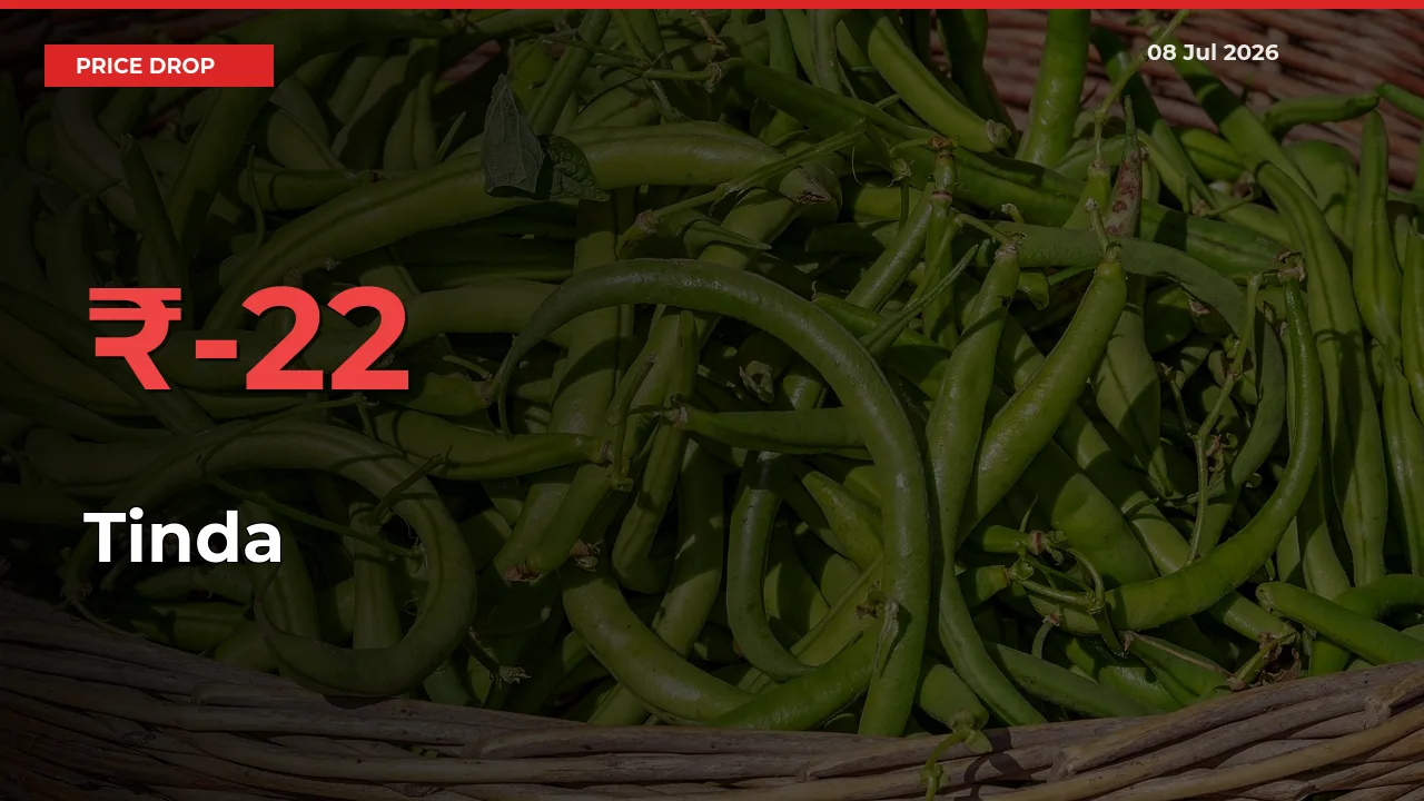 22.42% Drop in Tinda Prices – Mandi Sees Sudden Fall
