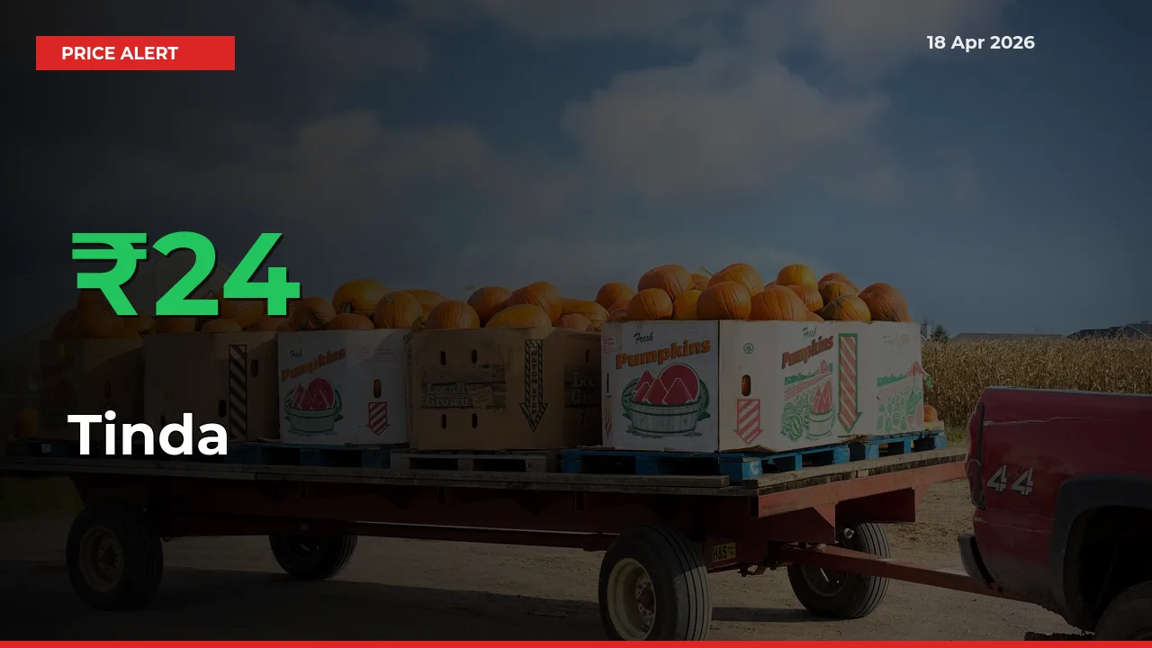Farmers Cheer as Tinda Prices Surge 23.97% in Local Mandis