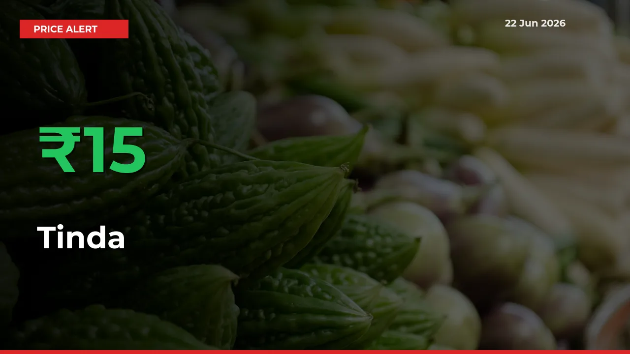 Farmers Cheer as Tinda Prices Surge 15.48% in Local Mandis