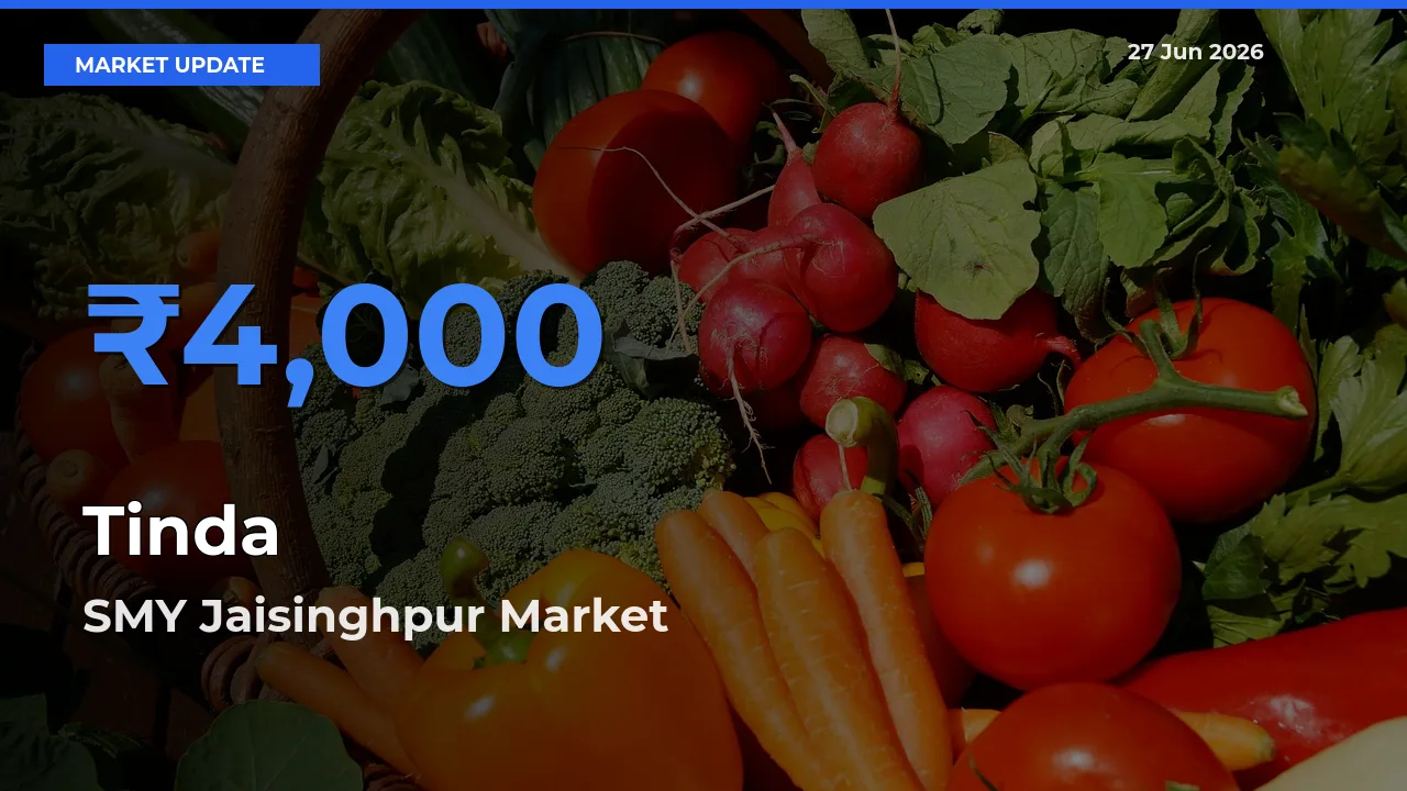 Farmers Prefer SMY Jaisinghpur as Tinda Hits Highest Rate