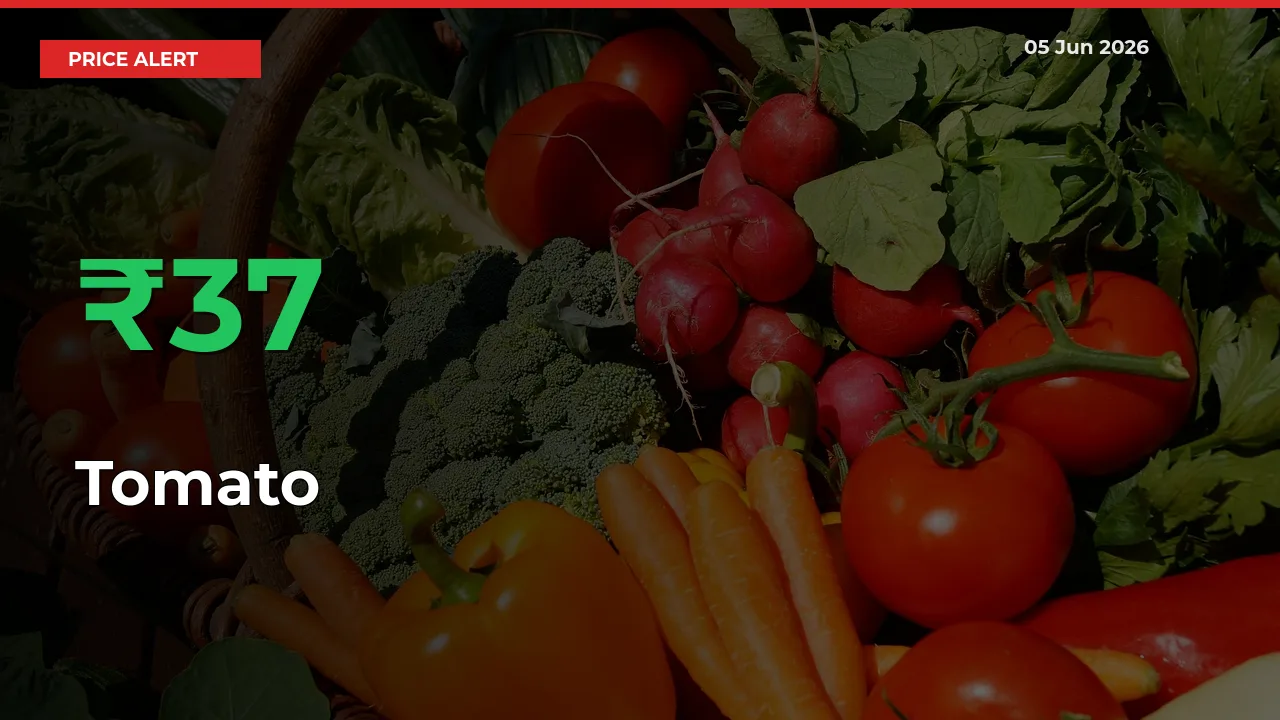 Tomato Prices Rise 36.72% in a Day at Major Mandis