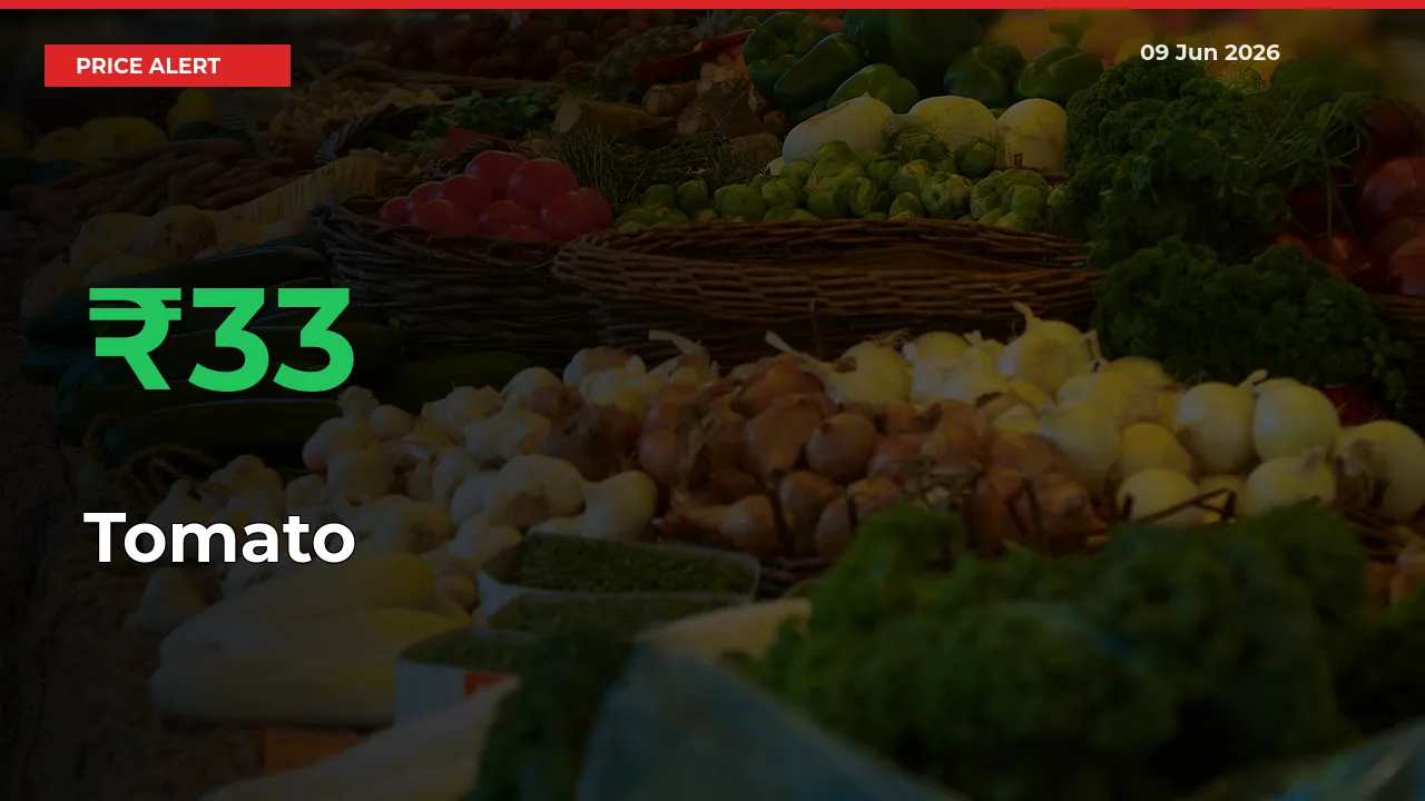 Tomato Mandi Rate Today: Prices Jump 32.52% at Market
