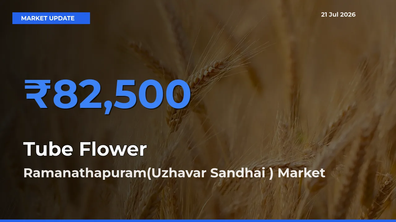 Farmers Prefer Ramanathapuram(Uzhavar Sandhai ) as Tube Flower Hits Highest Rate