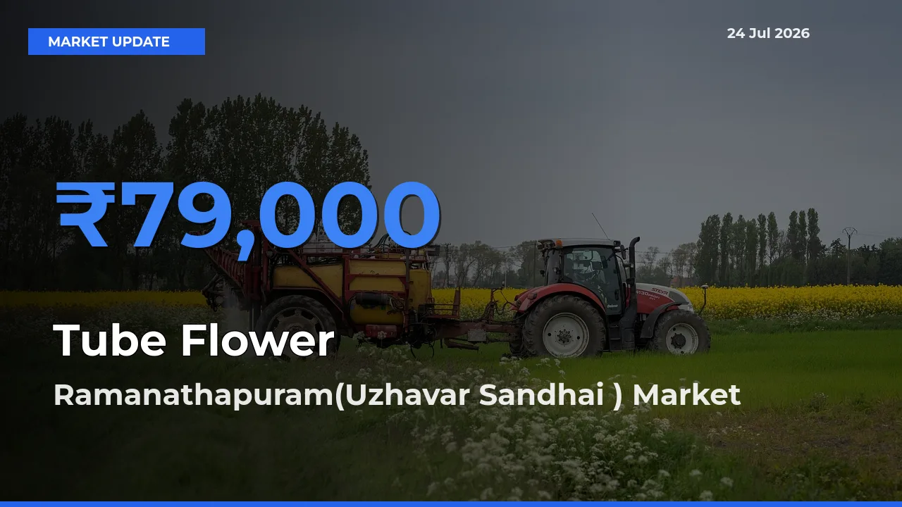 Ramanathapuram(Uzhavar Sandhai ) Tops Tube Flower Mandi Rates Today