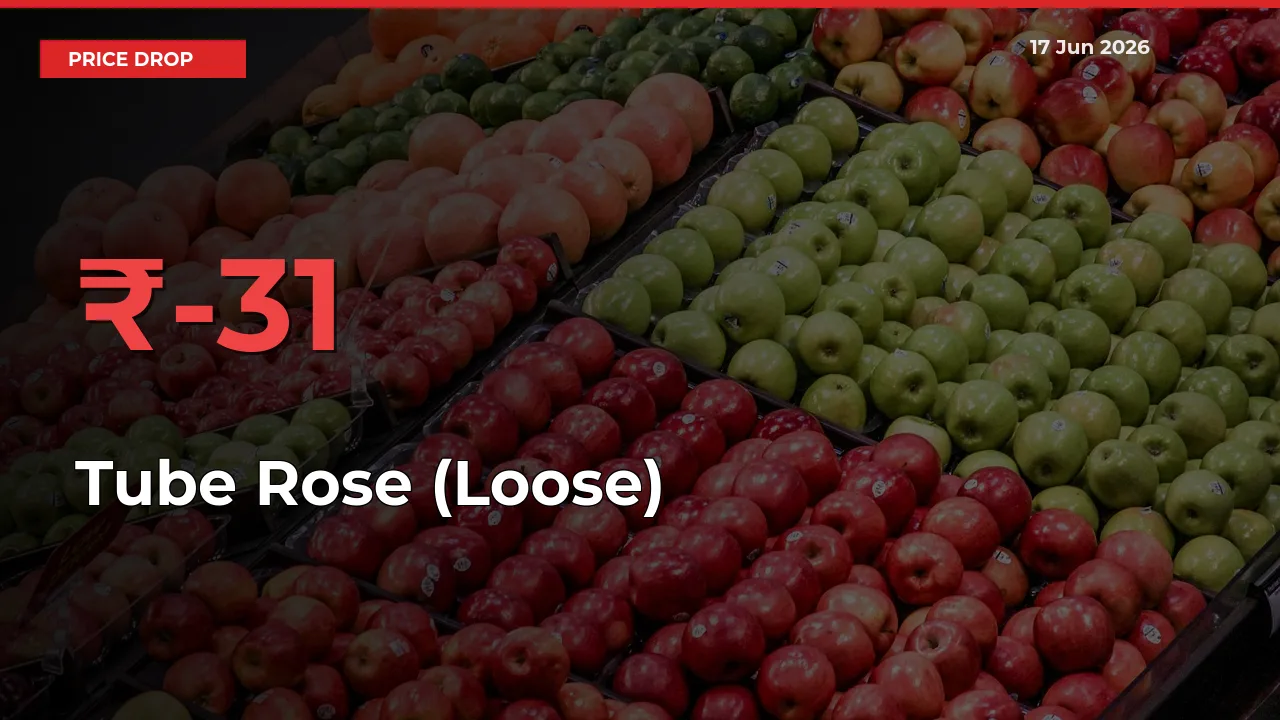 Tube Rose (Loose) Prices Drop 31.17% in 24 Hours at Major Mandis
